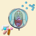 Vintage Inspired Anatomy Round Pill box Organizer